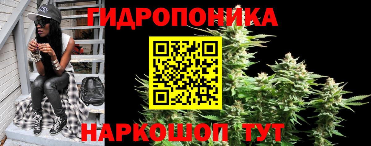 Каннабис OG Kush Тобольск
